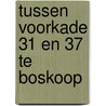 Tussen Voorkade 31 en 37 te Boskoop door W.A. Van Breda