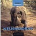 Neushoorns