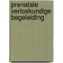 Prenatale verloskundige begeleiding