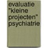Evaluatie "kleine projecten" psychiatrie