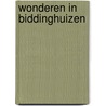 Wonderen in Biddinghuizen door J.P.H. Zijlstra