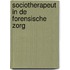 Sociotherapeut in de forensische zorg