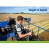 Oogst in beeld door Han Hammink