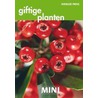 Mini WP by H. Altman