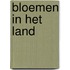 Bloemen in het land