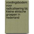 Voedingsbodem voor radicalisering bij kleine etnische groepen in Nederland