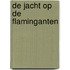 De jacht op de flaminganten