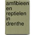Amfibieen en reptielen in Drenthe