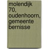 Molendijk 70, Oudenhoorn, Gemeente Bernisse by K. van Kappel