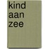 Kind aan zee