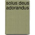 Solus Deus adorandus
