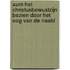 Aum Het Christusbewustzijn Bezien Door Het Oog Van De Naald