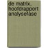 De MATRIX, Hoofdrapport analysefase