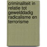 Criminaliteit in relatie tot gewelddadig radicalisme en terrorisme door M. Dechesne