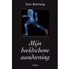 Mijn beeldschone aandoening door Carl Stellweg