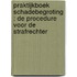 Praktijkboek schadebegroting : De procedure voor de strafrechter