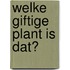 Welke giftige plant is dat?