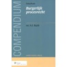 Compendium van het burgerlijk procesrecht by A.S. Rueb