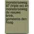 Monsterseweg 87 (Triple Ex) en Monsterseweg De Nieuwe Brink, gemeente Den Haag