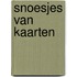 Snoesjes van kaarten