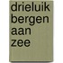 Drieluik Bergen aan Zee