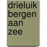 Drieluik Bergen aan Zee door M. Smook-Krikke