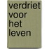 Verdriet voor het leven