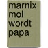 Marnix Mol wordt papa