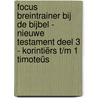 Focus breintrainer bij de bijbel - Nieuwe Testament deel 3 - Korintiërs t/m 1 Timoteüs by A.J. Heinen