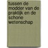 Tussen de modder van de praktijk en de schone wetenschap