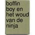 Boffin Boy en het woud van de Ninja
