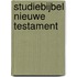 Studiebijbel Nieuwe Testament