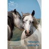 Welsh pony's by J. Verschure