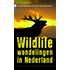 Wildlife wandelingen in Nederland