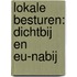 Lokale besturen: dichtbij en EU-nabij