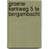 Groene Kerkweg 5 te Bergambacht