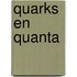 Quarks en quanta