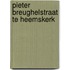 Pieter Breughelstraat te Heemskerk