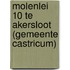 Molenlei 10 te Akersloot (gemeente Castricum)