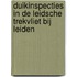 Duikinspecties in de Leidsche trekvliet bij Leiden