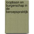 Loopbaan en burgerschap in de beroepspraktijk