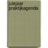 Julejaar Praktijkagenda