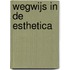 Wegwijs in de esthetica