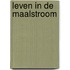 Leven in de maalstroom