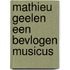 Mathieu Geelen een bevlogen musicus