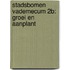 Stadsbomen Vademecum 2B: Groei en aanplant