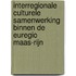 Interregionale culturele samenwerking binnen de Euregio Maas-Rijn