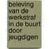 Beleving van de werkstraf in de buurt door jeugdigen