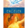 Het boek der engelen by F. Melville