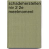 Schadeherstellen niv 2 2e meetmoment door van Iersel